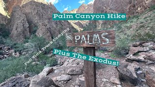 Kofa Wildlife Refuge-Palm Canyon Hike and Exodus. Full Time Truck Camping@CallaVentures