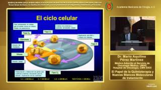 Papel de la Quimioterapia y Nuevos Blancos Moleculares de Tratamiento, Dr. Mario A. Pérez Martínez