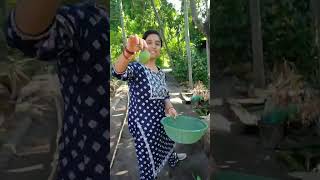 #fun #masti #mango #eating #tasty #sweet #garden #shorts #shortvideo #shortsvideo #short #video