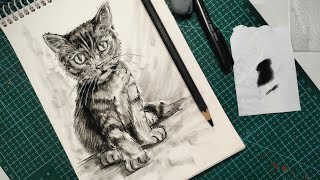 Drawing a cat with charcoal pencil part 2 #charcoal #charcoalpencil #art #drawing #artstyle