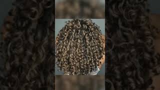 Damaged to Healthy Curls #shorts #curlyhair #hairloss