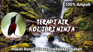 Suara kolibri ninja dan air utk macet bunyi, stress, bahan dan ombyokan || konin #konin #terapiair