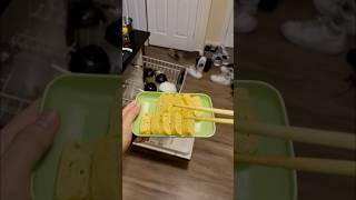 Day 6 Tamagoyaki