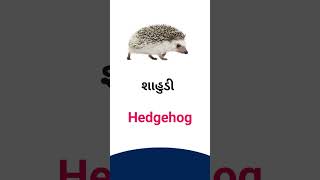 Hedgehog meaning Gujarati - English dictionary