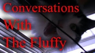 Conversations With The Fluffy