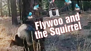 Flywoo and the Squirrel. Dji fpv with Caddx Vista