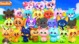 PANDA DAYCARE BAYI KUCING 🐱🐾 I WANT TO GET ALL THE RARE FAIRY CATS COLLECTION GAMEPLAY