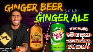 Ginger beer vs ginger ale මොකක්ද ඇත්තටම වෙනස | what is the difference between ginger beer and ale