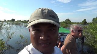 Water Wild Bird Sanctuary in Prek Toal Floating Village in Cambodia