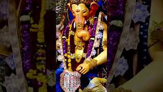 Lalbaug Cha Raja 2024 | लालबाग चा राजा | VIP Darshan | प्रथम दर्शन #shorts #lalbaughcharaja2024