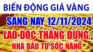 Giá vàng hôm nay 12/11/2024: lao dốc thẳng đứng, nhà đầu tư sốc nặng