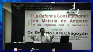 La reforma constitucional en materia de amparo 10