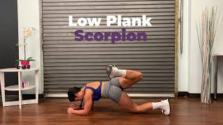 Low Plank Scorpion I Dollar Train Club