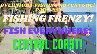 Fishing Frenzy On The Central Coast! Overnight Fishing Adventure! [2/2] The Entrance NSW!