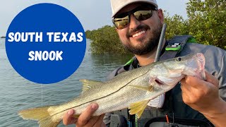 Finally got a South Texas Snook! | Part 2  South Padre Island Fishing with RX Angler