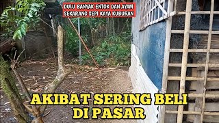 ENTOK MURAH JADI MUSIBAH