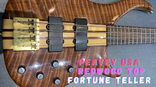 Peavey USA Fortune Teller Jam