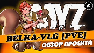 ОБЗОР ПРОЕКТА BELKA-VLG [PVE] | #dayz