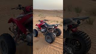 Quad bike driving in the UAE!