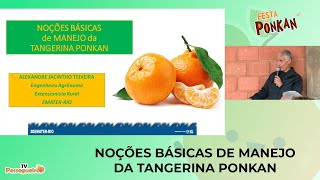 Festa da Ponkan em Pessegueiros, Teresópolis: Palestra NOÇÕES BÁSICAS DE MANEJO DA TANGERINA PONKAN