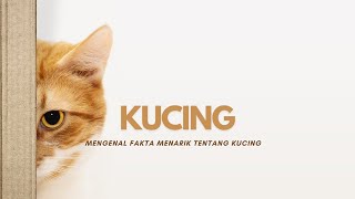 Mengenal Fakta Menarik tentang Kucing: Dari Kehidupan Mandiri hingga Kelenjar Kucing