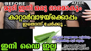 കറ്റാർവാഴയുടെ കൂടെ ഇതും കൂടി ചേർക്കു/Alovera hair care /valartham /poppy vlogs /sreejina/malayalam