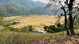 VILLAGE TOUR | ESA HOTA HE GAON | HILLS LIFE #hills #village #villagelife #villagelifesytyle #nani