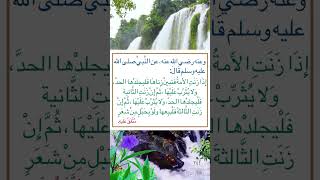 من أقوال الرسول صلى الله عليه وسلم ‏⁧‫#السنة_النبوية‬⁩  #متفق_عليه