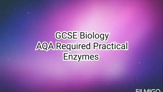 Enzymes.  GCSE Biology.  AQA Required Practical.