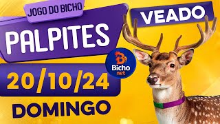 PALPITE DO DIA 20/10/2024 - JOGO DO BICHO 🍀 TODAS AS LOTERIAS 🍀