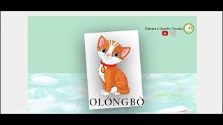 How to Say Cat in Yoruba| One Yoruba Word a Day| Yoruba for Kids