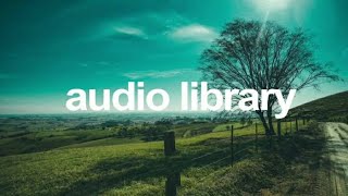 Victim to Victor | from audio library | no copyright music