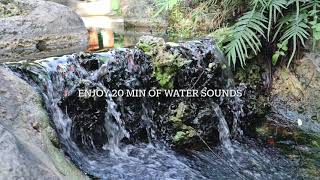 Water Sounds, Fresh Stream in the Park.