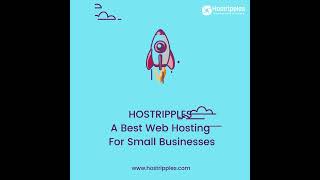 Hostripples is the best web hosting provider for small businesses.