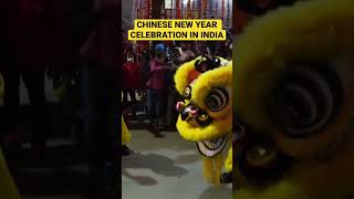 Chinese New Year Celebration In Kolkata, India 🇮🇳 #shorts #youtubeshorts