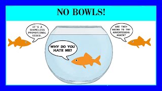 Shameless Promotion - Start the Conversation that Goldfish DO NOT Belong in Bowls! New shirts!