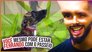 A FORMA DE VOCÊ SE COMPORTAR ANTES DO PASSEIO VAI MUDAR O COMPORTAMENTO DO SEU CÃO