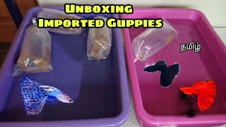 Unboxing Imported Guppies |  தமிழ்|  Aquapets & farm