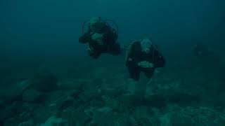 Drysuit Diving in San Carlos, Mexico