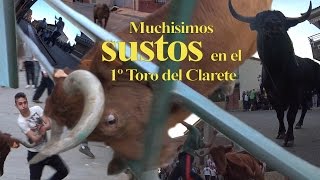 🚑 La QuE HaS LIADO POYITO 🐥 TORO del CLARETE 🍷. TOROS BRAVOS