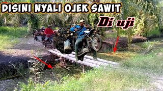 Tenaga Dipaksa Kuat || Joki Ojek Sawit Kejar Target Harus selesai sebelum Lebaran