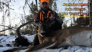 Tracking a North Woods Buck