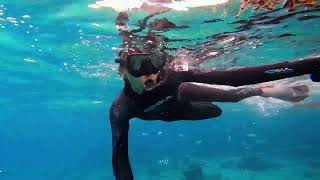 GoPro HERO 10: Snorkeling🤿🐠🏖 di PULAU PERHENTIAN  #snorkelingtrip #goprohero10black #pulauperhetian