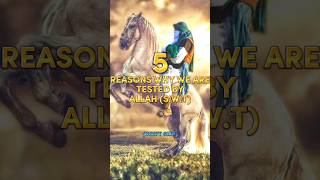 5 Reasons We Are Tested By Allah (S.W.T) 🥀🕋 #Allah #youtubeshorts #islam #viral #success #foryou