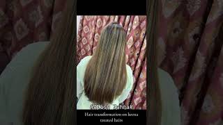 #Alishzahra #hairs #colors #Alishzahra #hairartist #alish #zahra #streaks #shorts