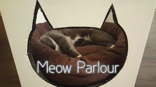 Meow Parlour | NYC Cat Cafe