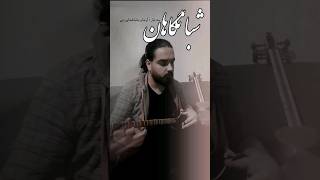 شبانگاهان با سه تار . نوازنده : آرمان باباخداوردی. #سه_تار #shorts