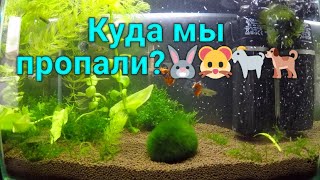 ПРИВЕТ ДРУЗЬЯМ, И КУДА МЫ ПРОПАЛИ.👀💗💗💗