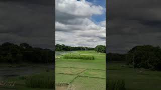 clouds #amazing #beautiful #short #shorts