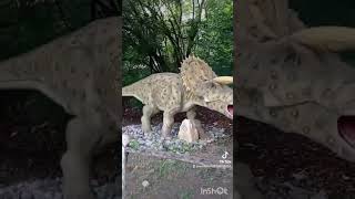 Ronaldo e Lourdes no Parque dos Dinossauros em Salvador Bahia 2024